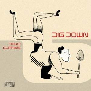 Home dig down cover